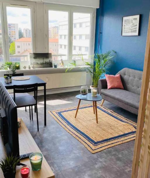 Le 610 - Cosy - Stationnement Gratuit & Wifi Apartment Saint-Etienne  Luaran gambar